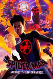 Spider-Man: Across the Spider-Verse Hindi Dubbed & English [Dual Audio]1080p 720p HD [Full Movie]