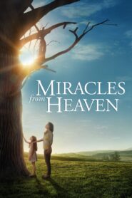 Miracles from Heaven Hindi Dubbed & English [Dual Audio]1080p 720p HD [Full Movie]