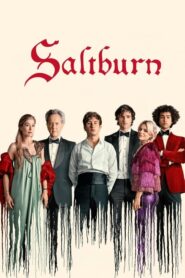 Saltburn Hindi Dubbed & English [Dual Audio]1080p 720p