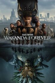 Black Panther: Wakanda Forever Hindi Dubbed & English [Dual Audio]1080p 720p
