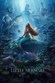 The Little Mermaid Hindi Dubbed & English [Dual Audio]1080p 720p HD [Full Movie]