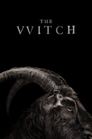 The Witch Hindi Dubbed & English [Dual Audio]1080p 720p