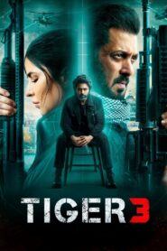 Tiger 3 (2023) Hindi 1080p 720p HD Full Movie