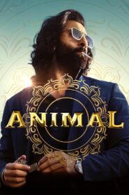 Animal (2023) Hindi 1080p 720p HD Full Movie