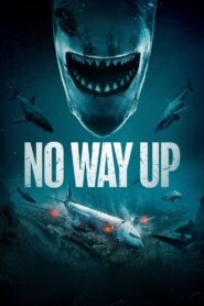 No Way Up Hindi Dubbed & English [Dual Audio]1080p 720p HD [Full Movie]