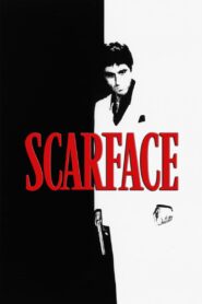 Scarface Hindi Dubbed & English [Dual Audio]1080p 720p HD [Full Movie]