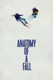 Anatomy of a Fall Hindi Dubbed & English Dual Audio 1080p 720p HD Full Movie